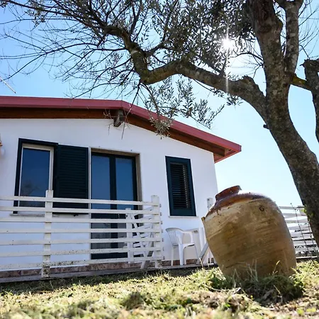 Сasa de vacaciones Risa Apulia