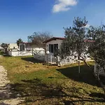 Risa Apulia *